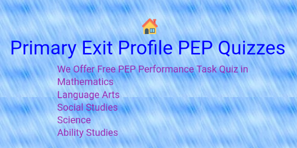 PEP Performance Task